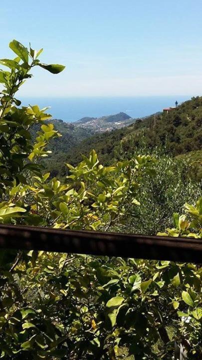 Agriturismo Osteria Du Barba Pe' - Casa Cassini Bordighera Exterior foto