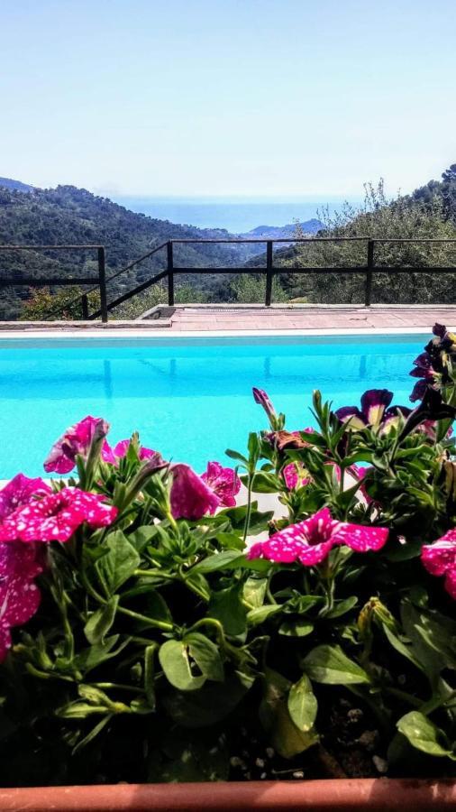 Agriturismo Osteria Du Barba Pe' - Casa Cassini Bordighera Exterior foto